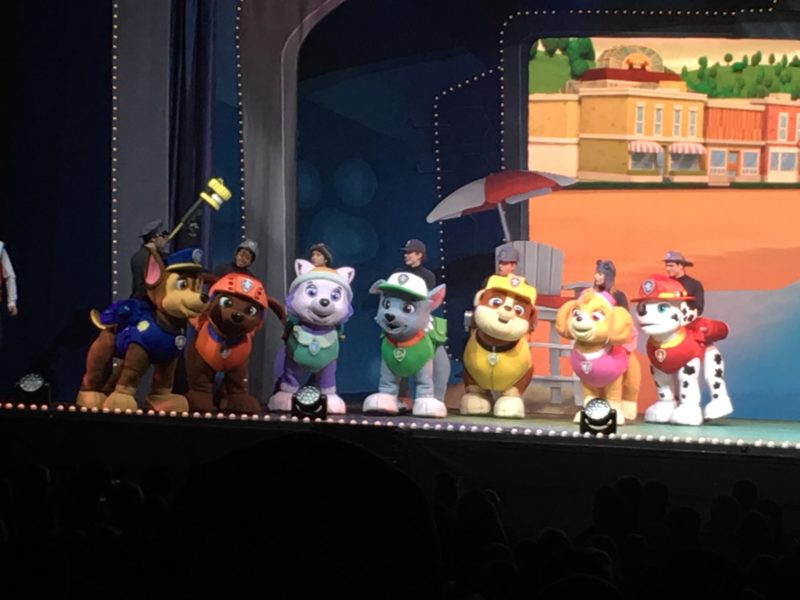 Paw Patrol Live, the pups discussing next steps