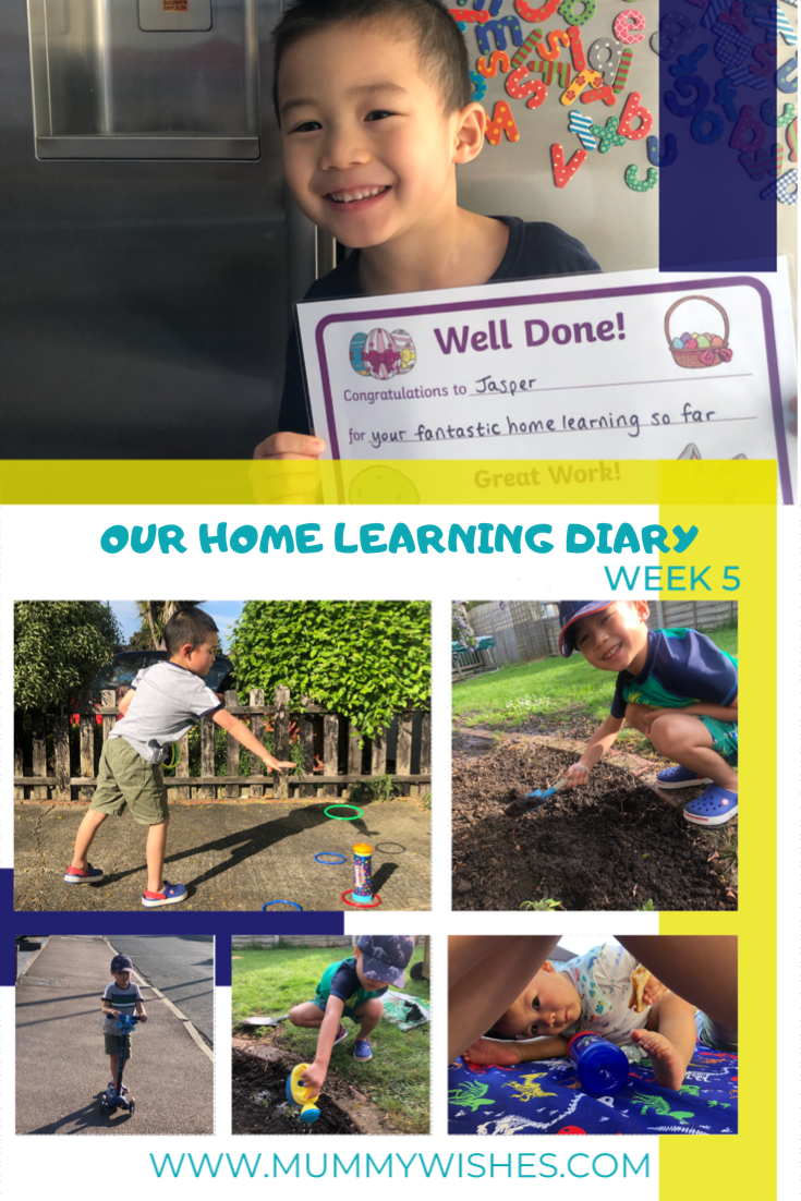 Our Home Learning Diary - Week 5