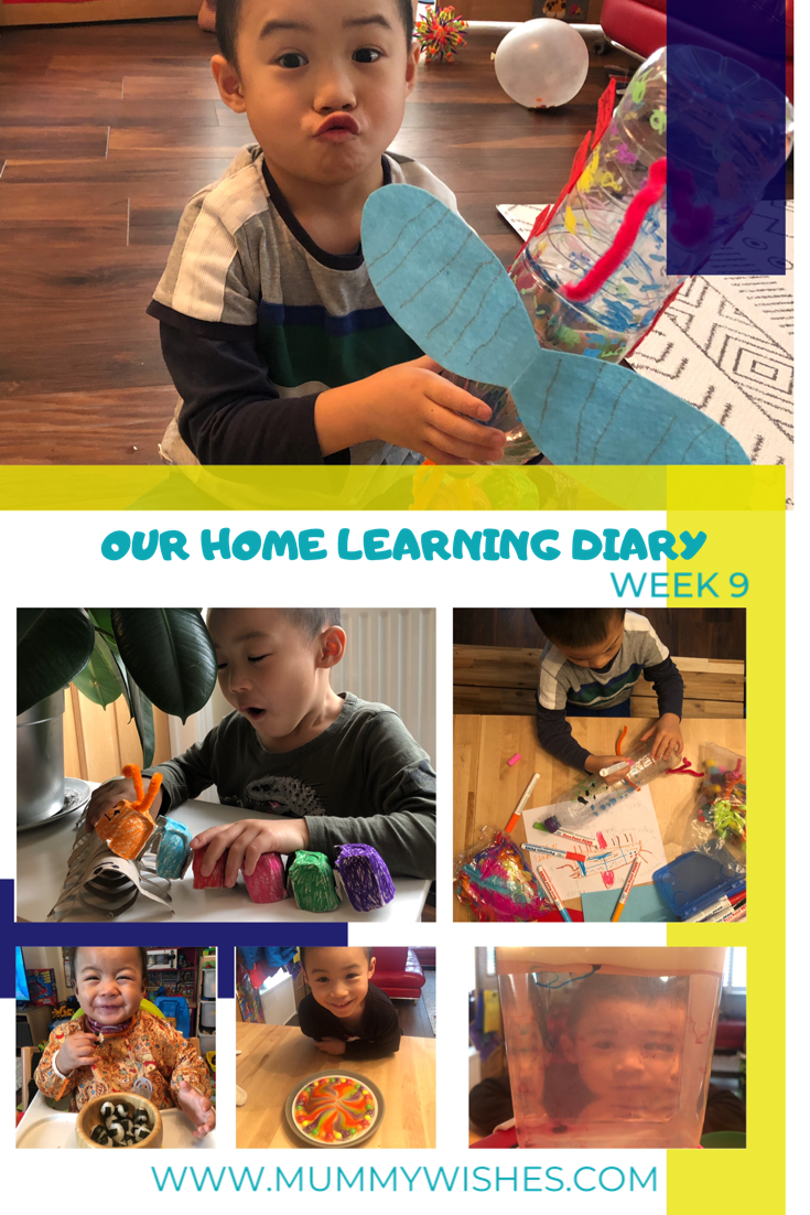 Our Lockdown Home Learning Diary - Week 9