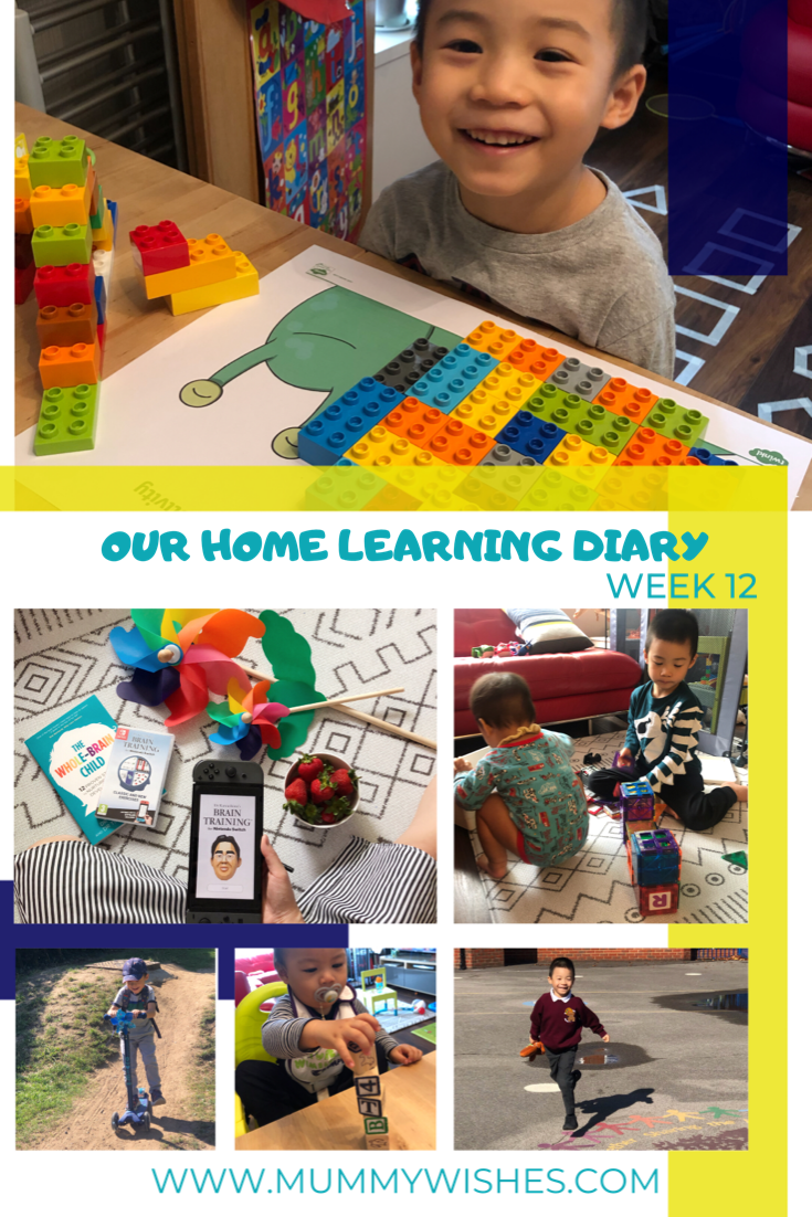 Our Lockdown Home Learning Diary - Week 12