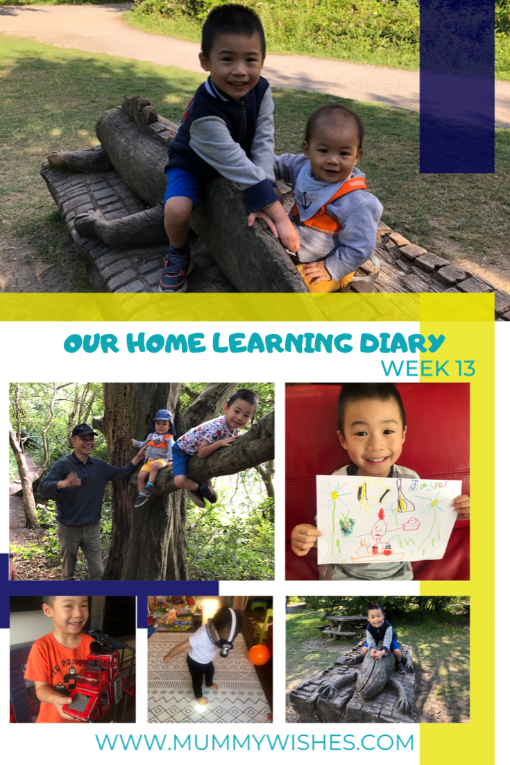 Our Lockdown Home Learning Diary - Week 13
