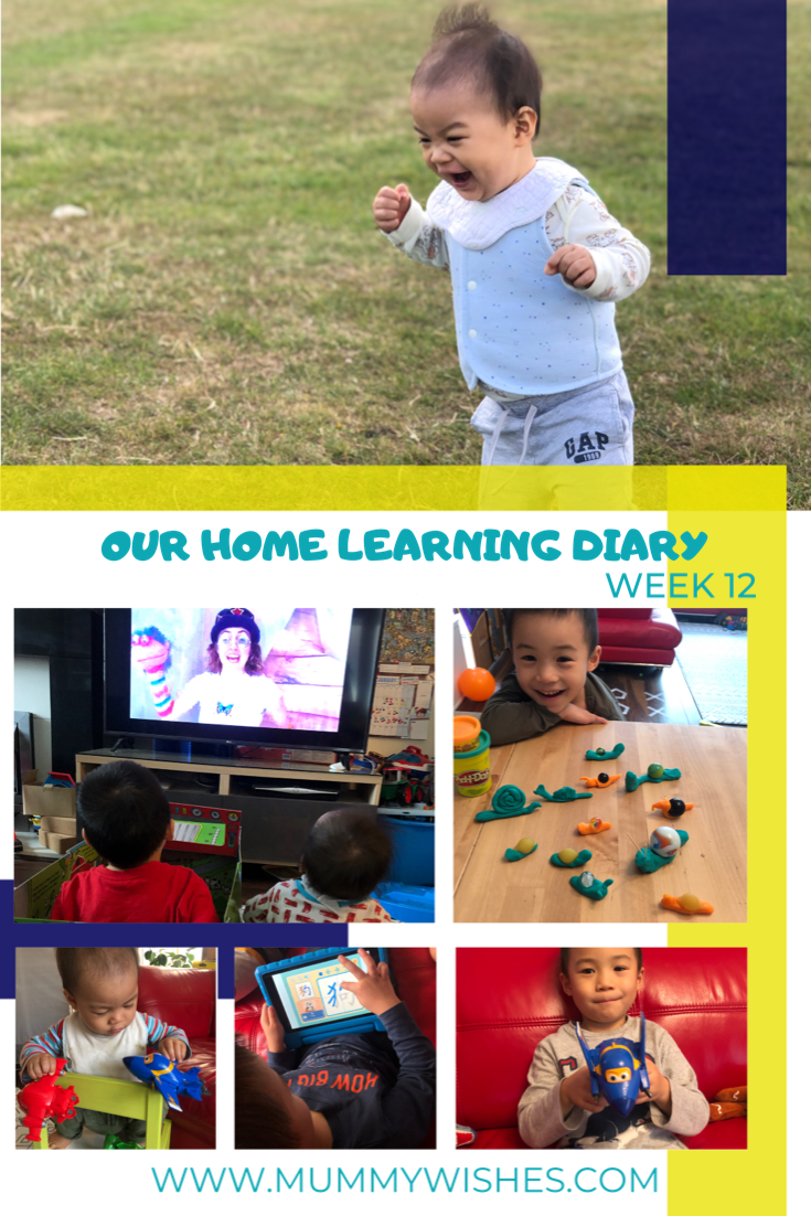 Our Lockdown Home Learning Diary - Week 12