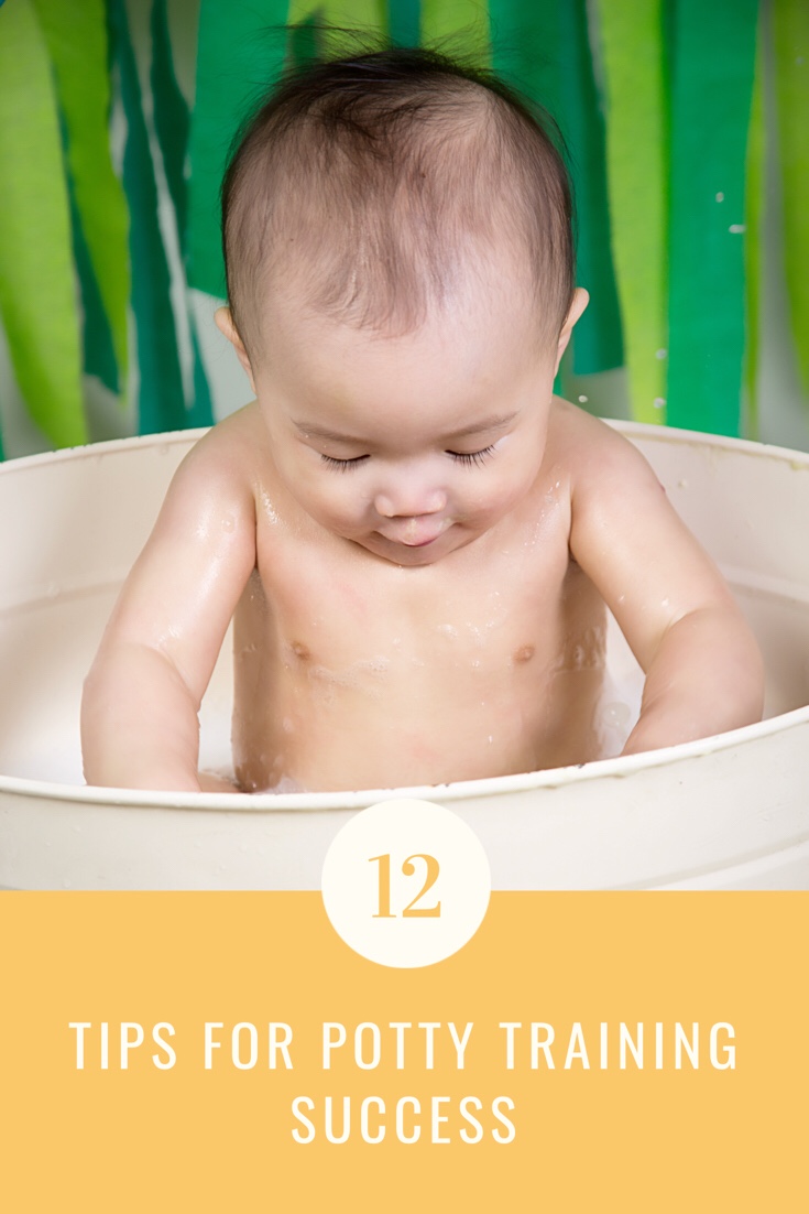 12 Tips for Potty Training Success - Mummy Wishes